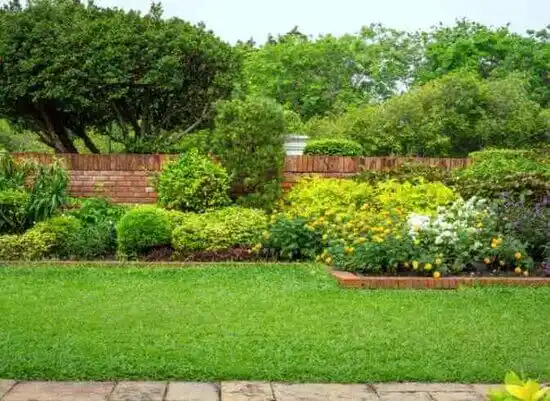 landscaping services Moreland Hills